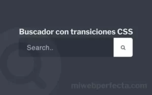 Cómo realizar un Buscador con transiciones CSS