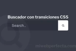 Cómo realizar un Buscador con transiciones CSS